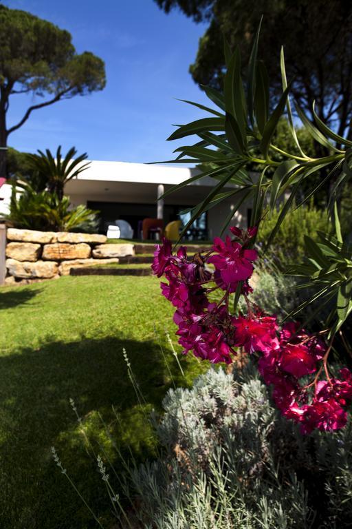 Villa Californie Sainte-Maxime Exterior foto
